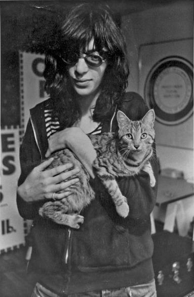 Plantilla de meme Punk rock cat