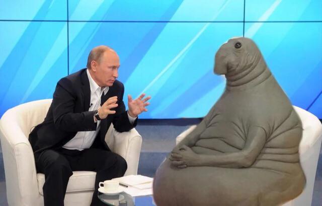 Putin talking to walrus meme template