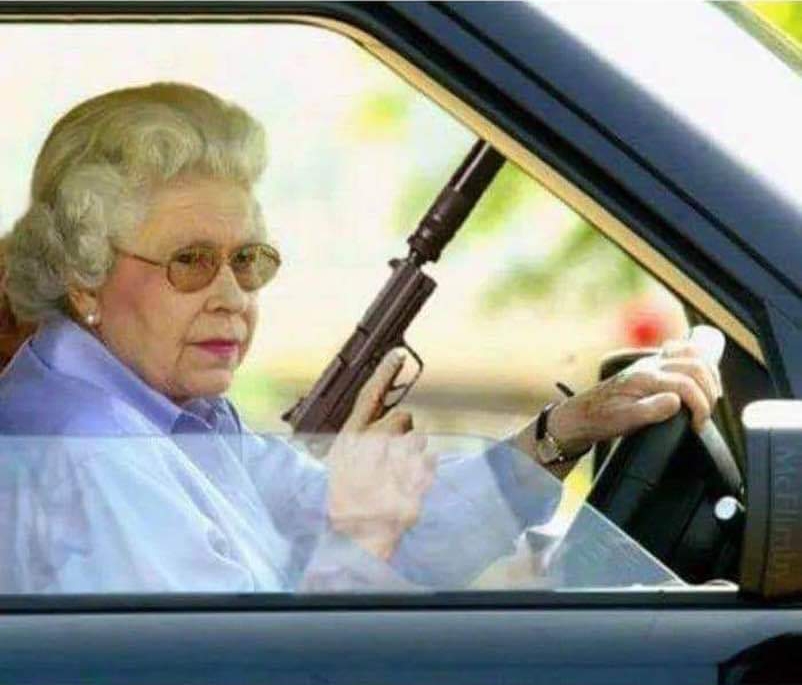 Plantilla de meme Queen hunting