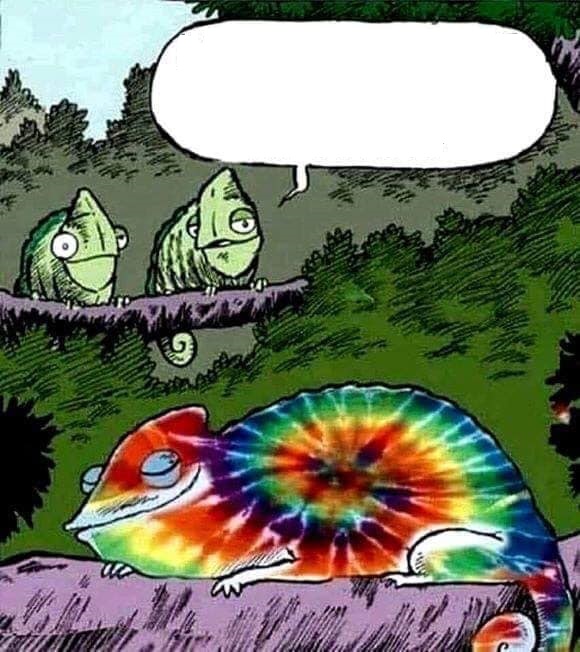 RAINBOW CHAMELEON BLANK meme template