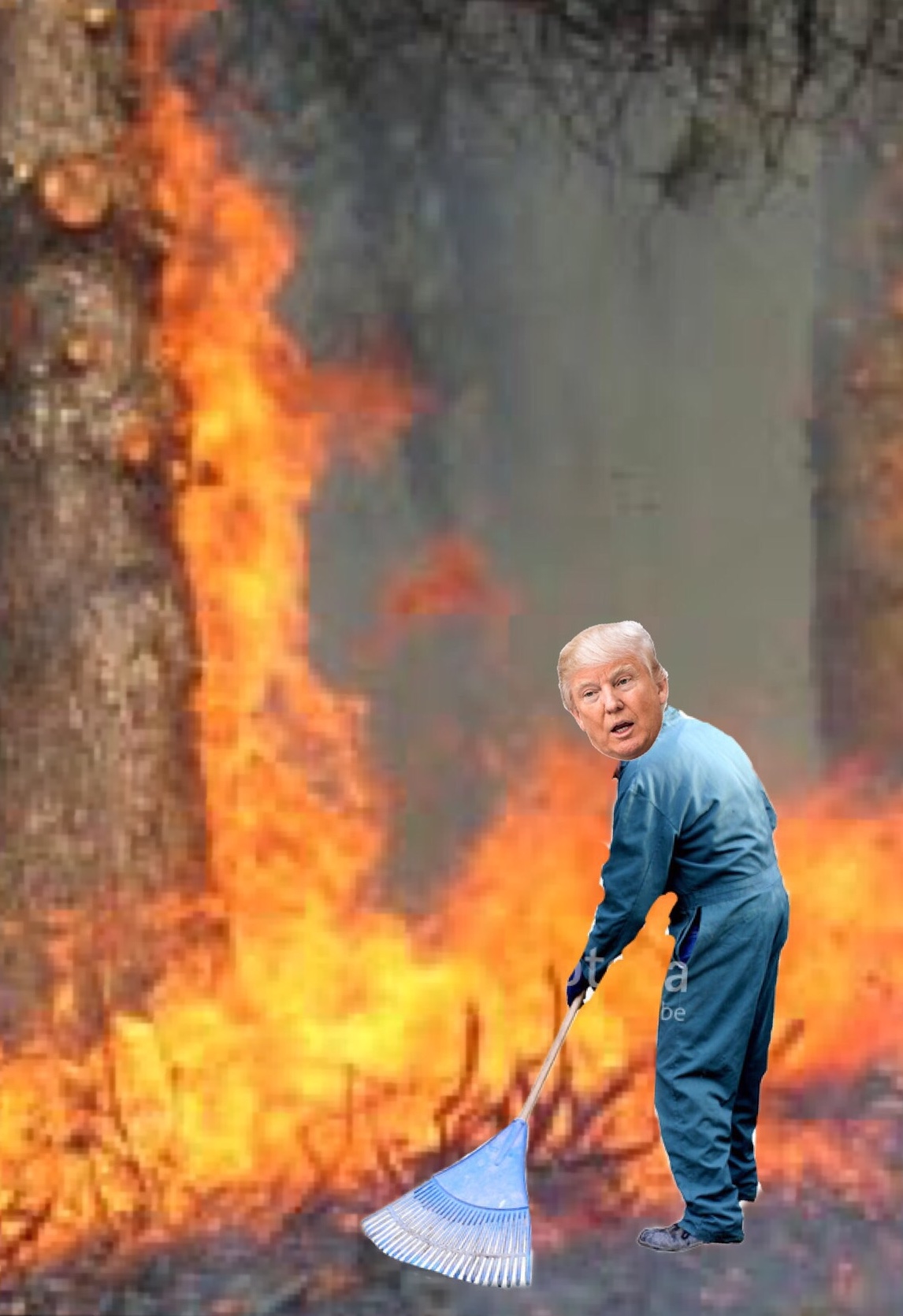 Plantilla de meme Raking Trump