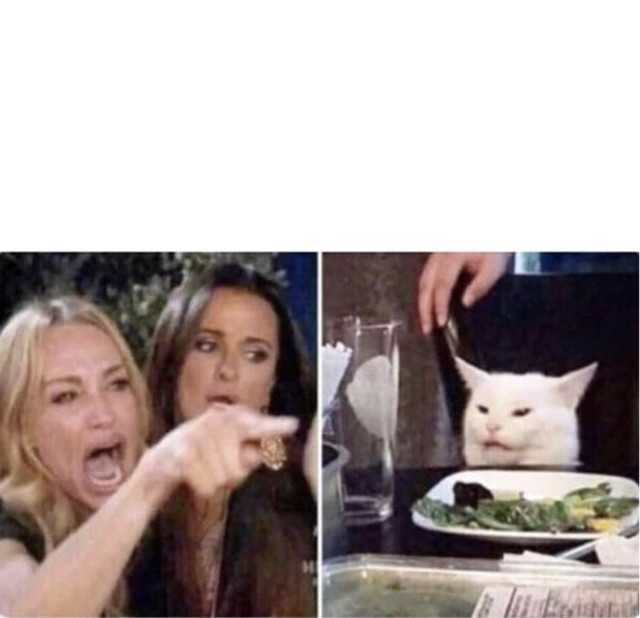 Template meme Real housewives screaming cat