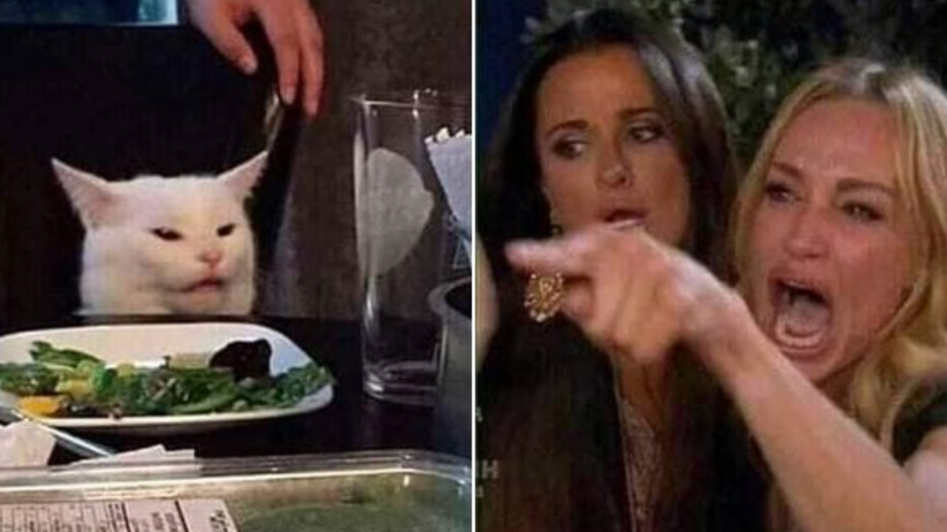 Plantilla de meme Reverse Smudge and Karen
