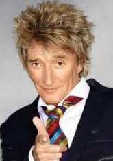 Rod Stewart BD Meme meme template