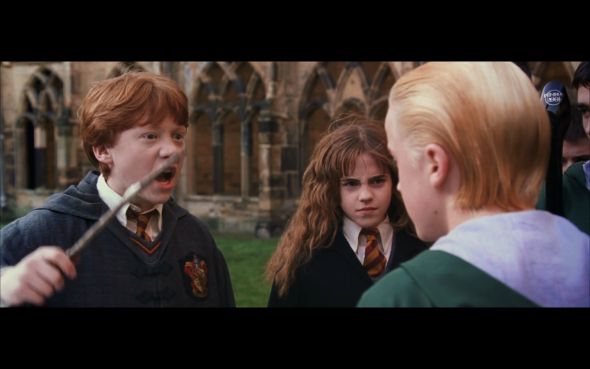 Plantilla de meme Ron Weasley eat slugs