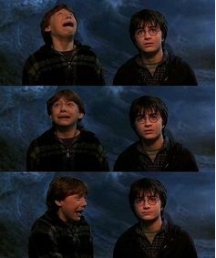 Plantilla de meme Ron Weasley Panic Meme