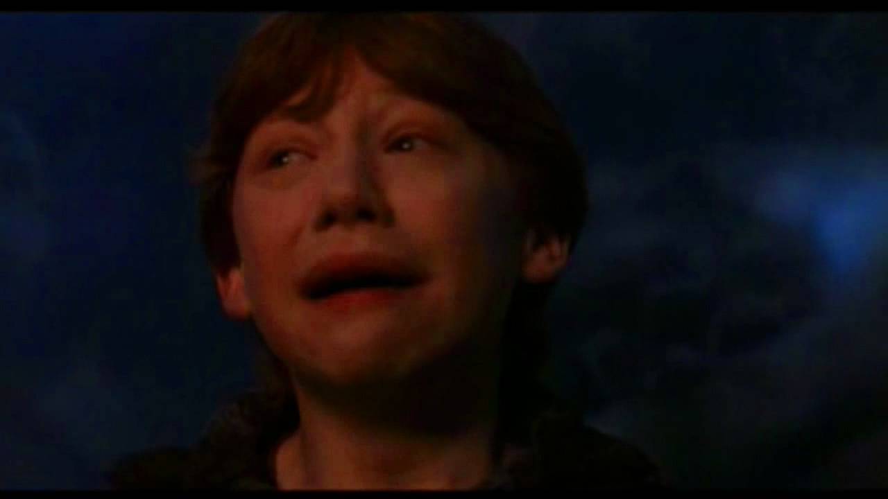 Plantilla de meme Ron weasley panic now