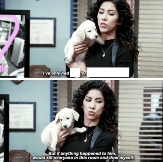 Plantilla de meme Rosa and Puppy Arlo Brooklyn 99