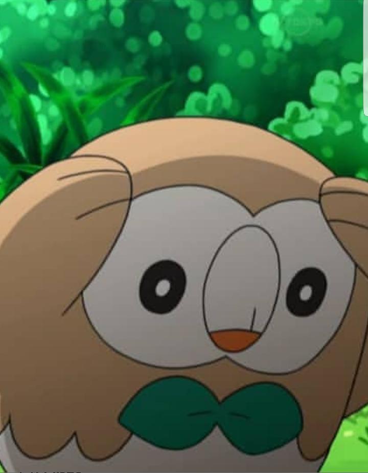 Plantilla de meme Rowlet Pokemon Meme