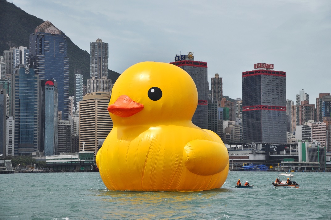 Template meme rubber ducky you're the one