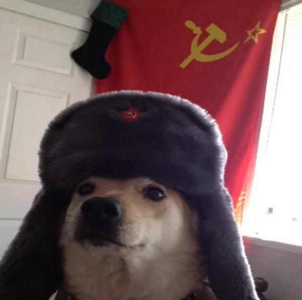 Plantilla de meme Russian Doge