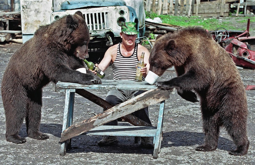 Plantilla de meme Russian drinking vodka with bears