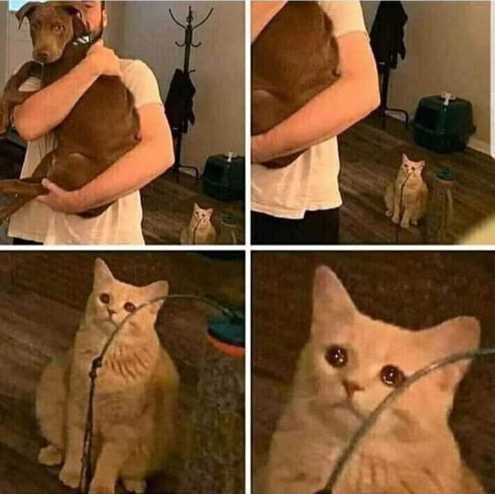 Template meme Sad Cat Holding Dog
