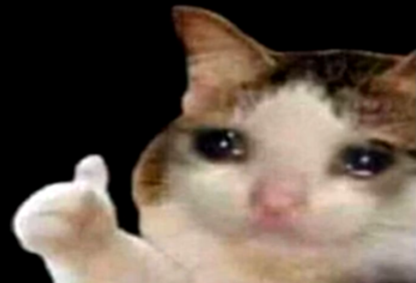 Template meme Sad cat thumbs up