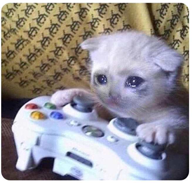 Template meme Sad cat Xbox