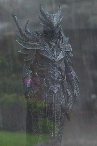 Plantilla de meme Sad Dragonborn