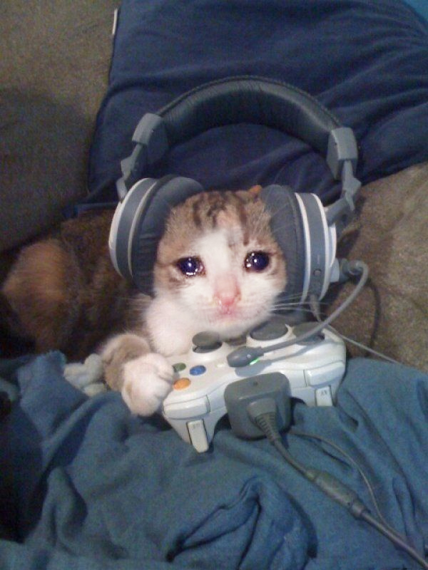 Template meme Sad Gamer cat with headphones crying while playing video games