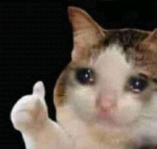 Template meme sad thumbs up cat