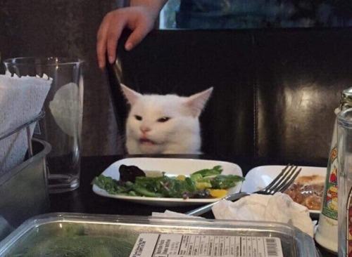 Plantilla de meme Salad cat