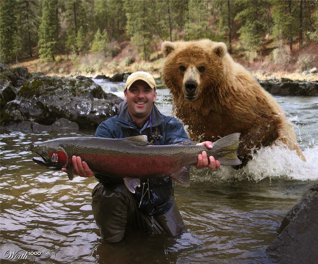 Plantilla de meme salmonfishermanbear