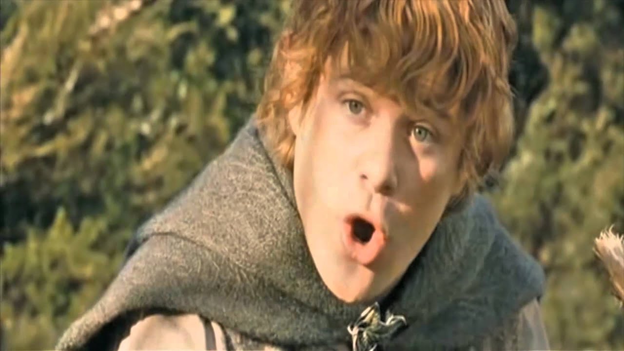 Plantilla de meme Sam lotr potato