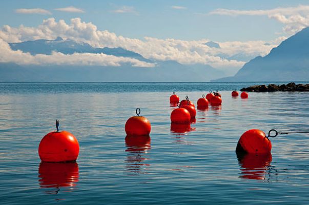 Saturdays are for the Buoys meme template