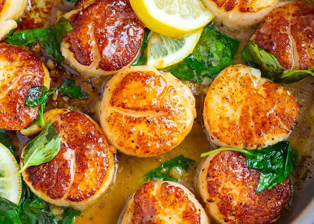 Plantilla de meme Scallops