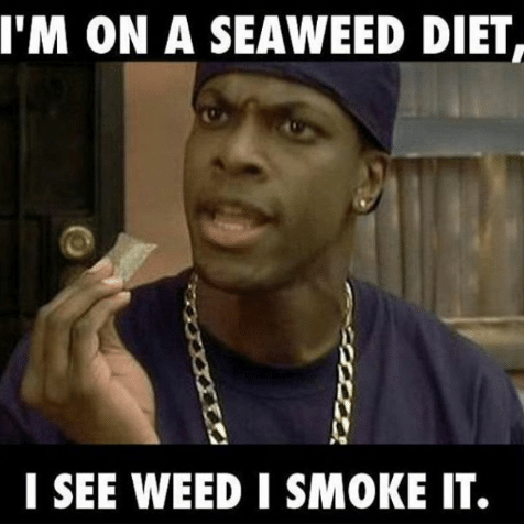 Plantilla de meme Seaweed diet Craig