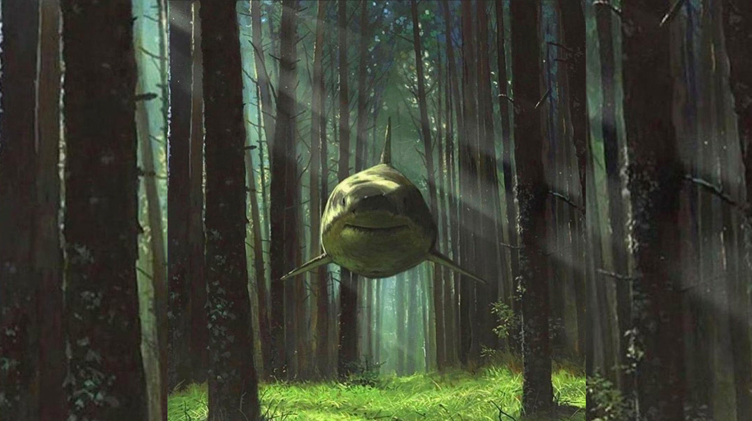 Plantilla de meme shark in the forest