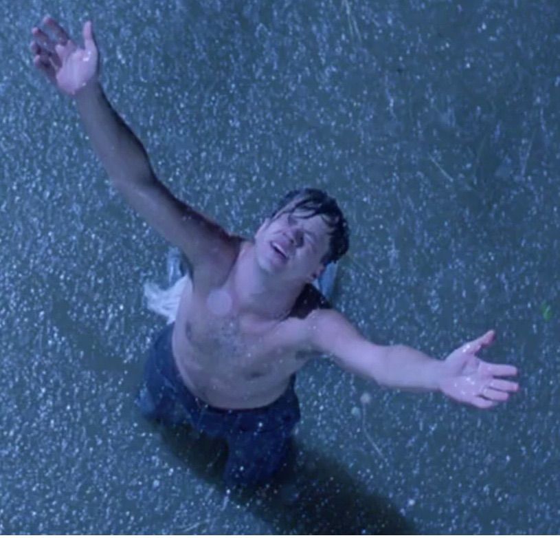 Plantilla de meme Shawshank redemption freedom