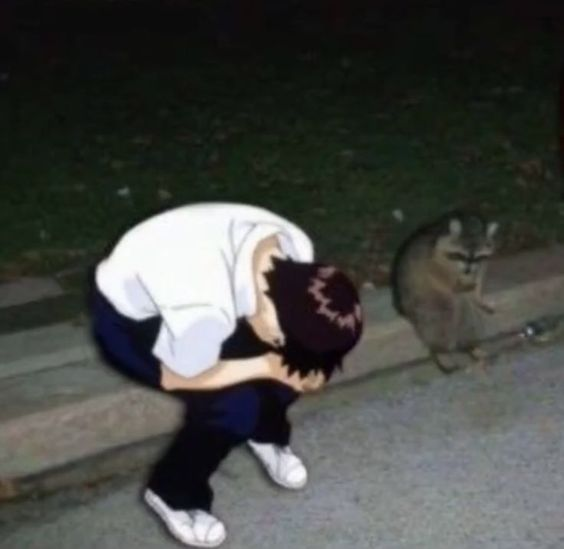 Plantilla de meme shinj crying with his raccoon homie