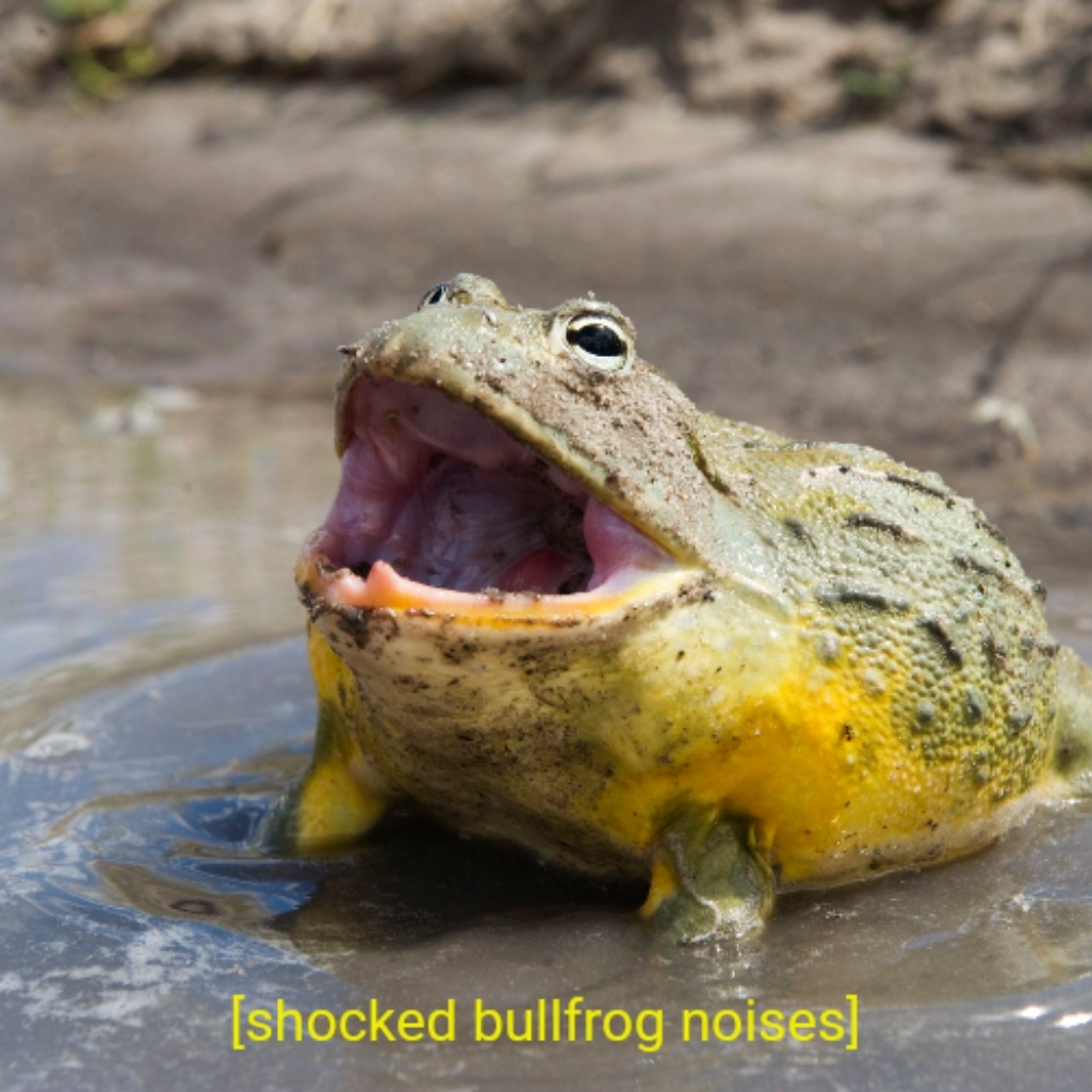 Plantilla de meme Shocked bullfrog noises