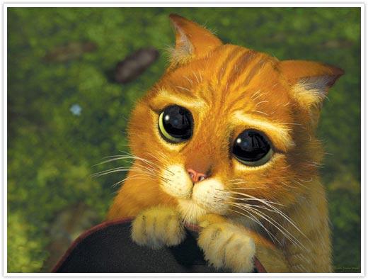 Plantilla de meme Shrek Cat