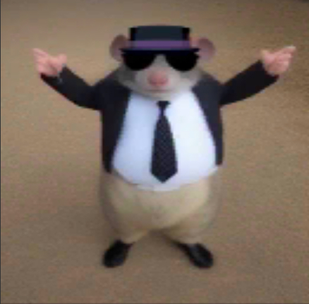 Template meme Sigma Hamster (Find The Memes 2)