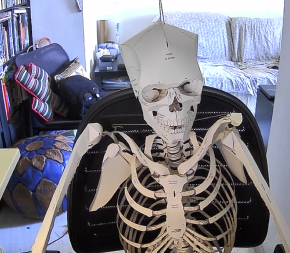Plantilla de meme skeleton work from home