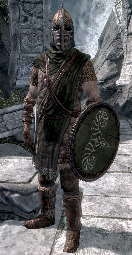 Plantilla de meme Skyrim Guard