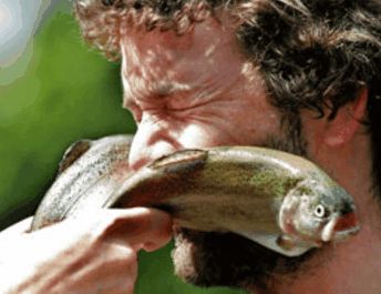 Slapped in the face by a large trout meme template