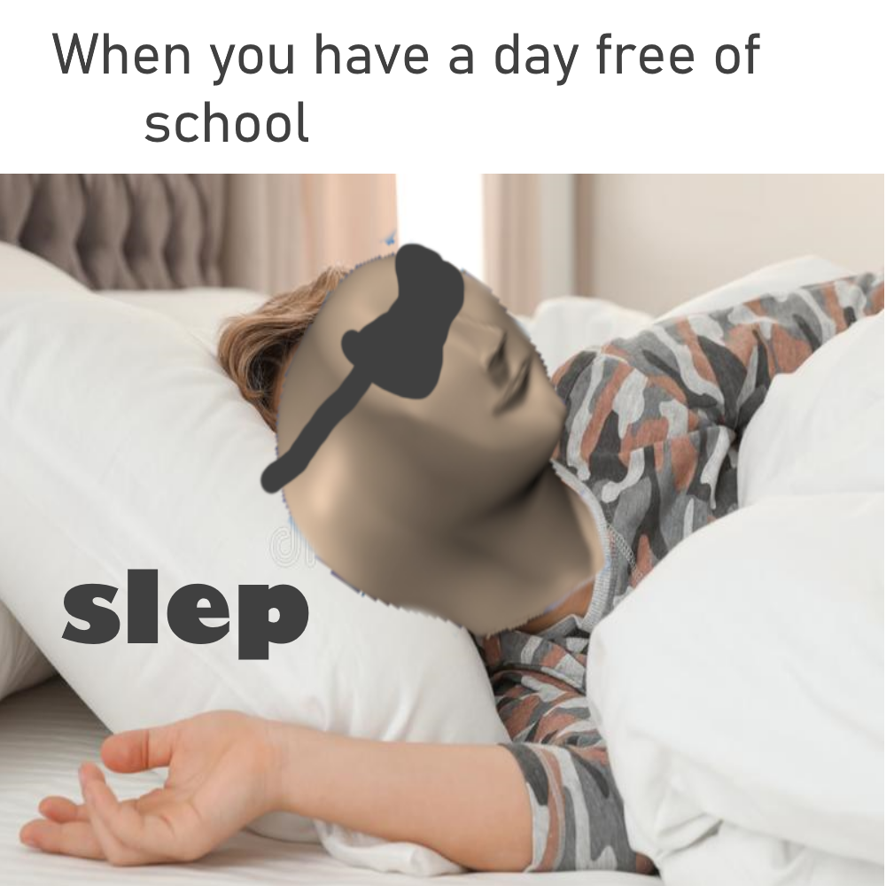 Plantilla de meme Sleep Meme Man