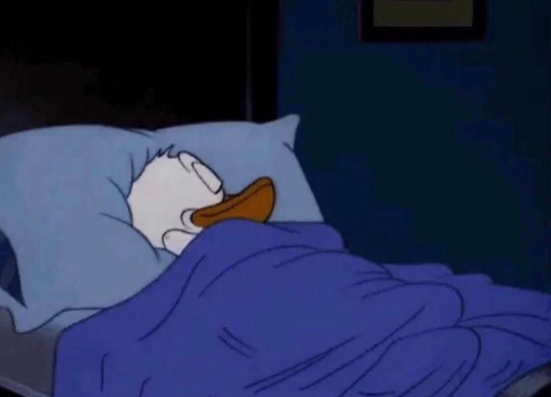 Template meme Sleeping Donald Duck