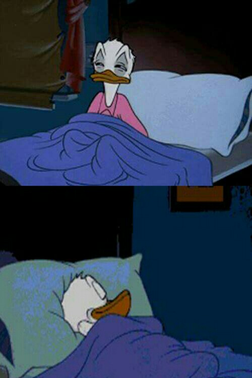 Plantilla de meme sleepy donald duck in bed