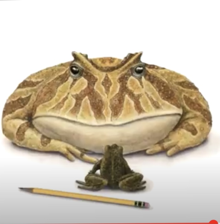 Plantilla de meme Small Frog, Big Frog