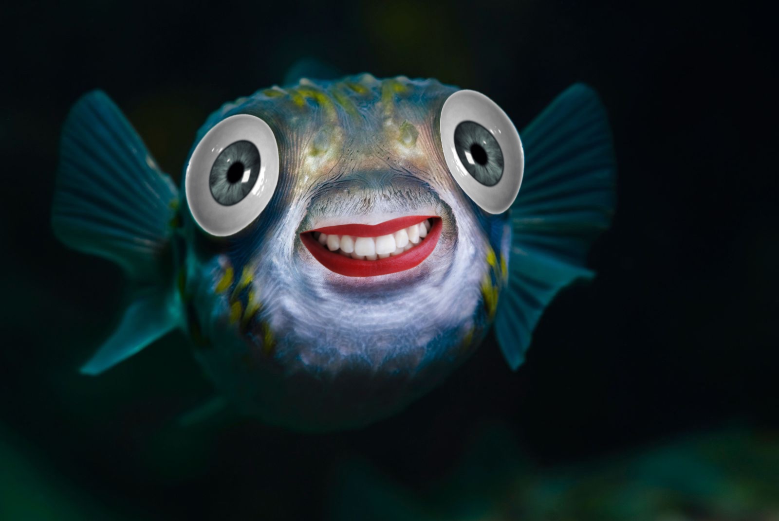 Plantilla de meme Smiling fish meme
