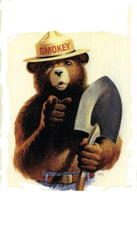 Template meme Smokey The Bear