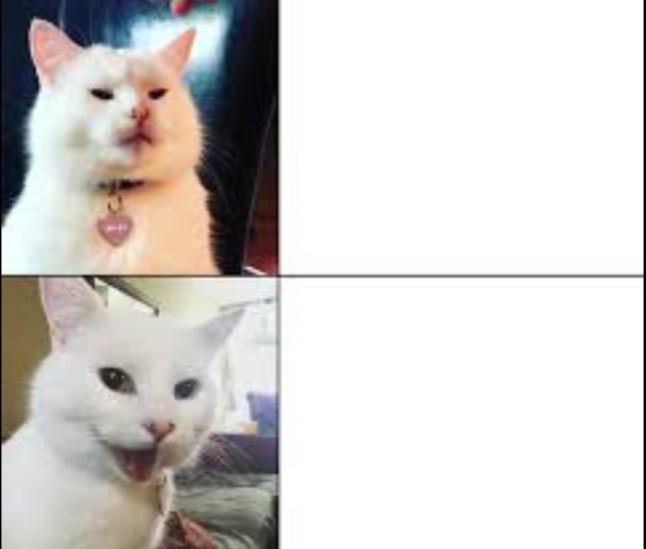Plantilla de meme Smudge cat