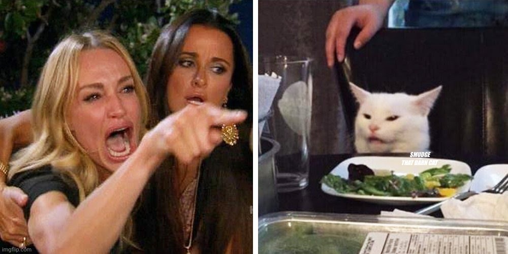 Plantilla de meme Smudge that darn cat with Karen