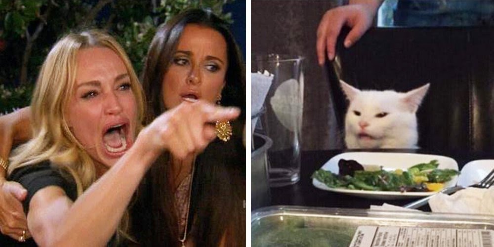 Plantilla de meme Smudge the cat