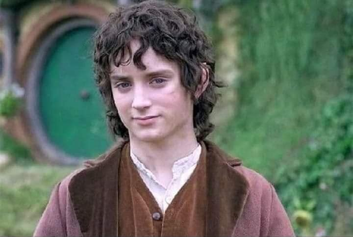 Template meme smug frodo
