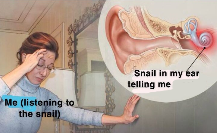 Plantilla de meme Snail in my ear