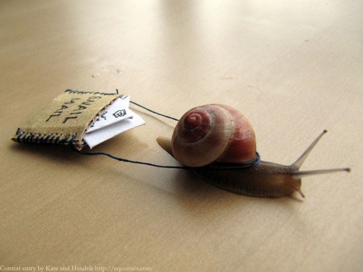 Plantilla de meme Snail Mail