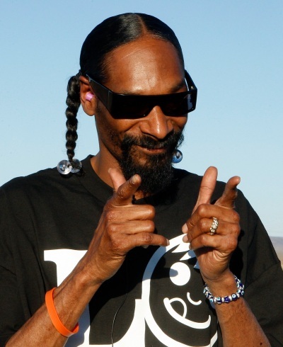 Template meme Snoop Dogg approves
